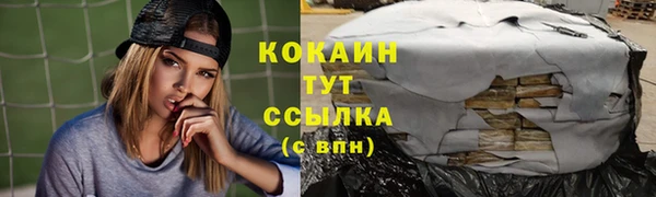 бошки Новозыбков