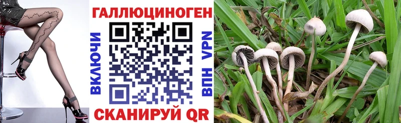 Галлюциногенные грибы ЛСД  купить   ссылка на мегу как зайти  Ковдор 